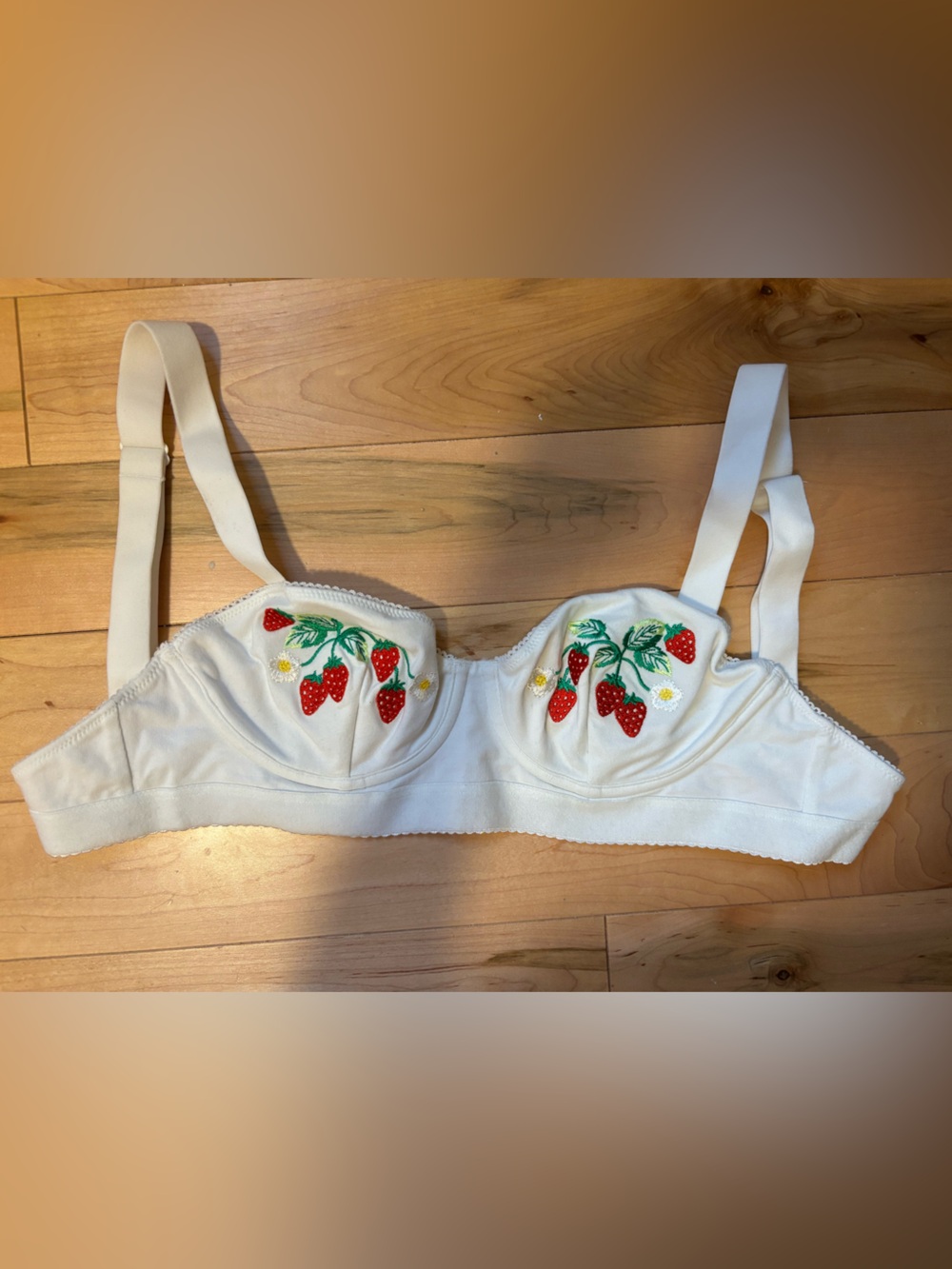 Anthropologie Lingerie Set